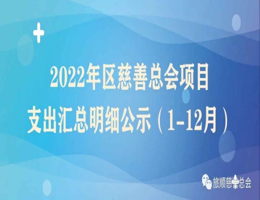 2022年区慈善总会项目支出汇总明细公示（1-12月）
