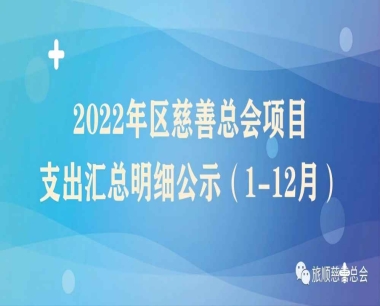 2022年区慈善总会项目支出汇总明细公示（1-12月）